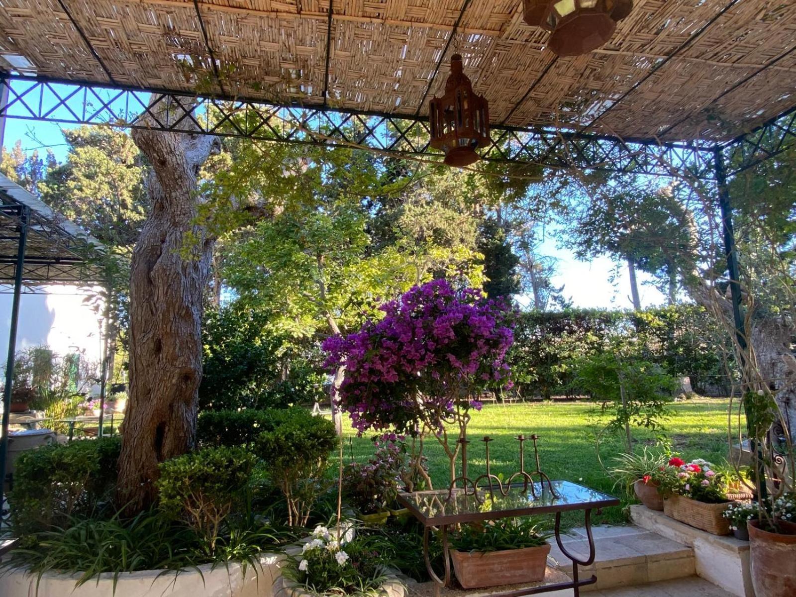 אוטרנטו Tenuta Belvedere מראה חיצוני תמונה