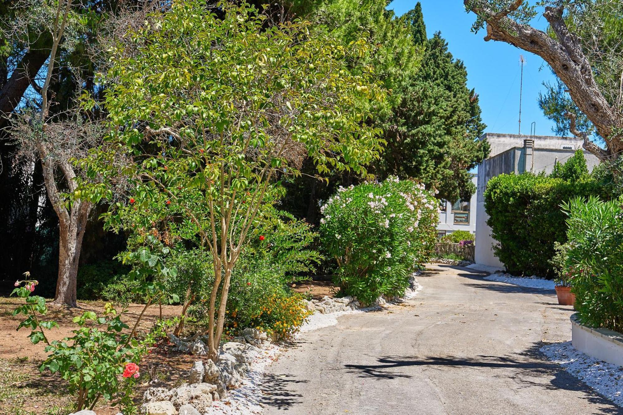אוטרנטו Tenuta Belvedere מראה חיצוני תמונה
